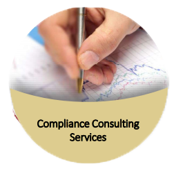Compliance consulting services